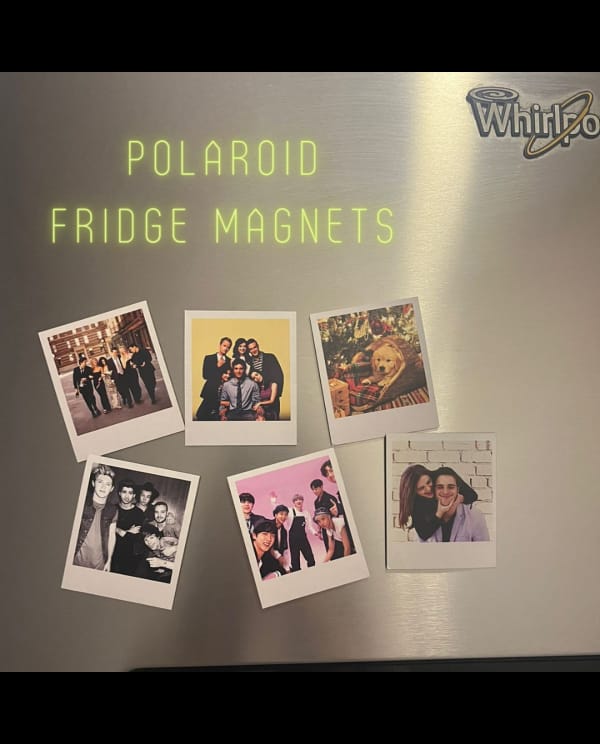 Mini Memoroids Fridge Magnet