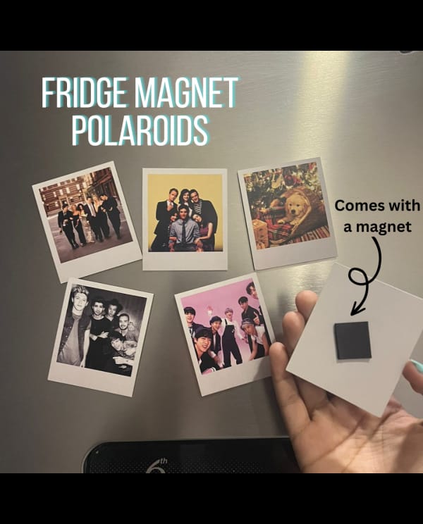 Mini Memoroids Fridge Magnet