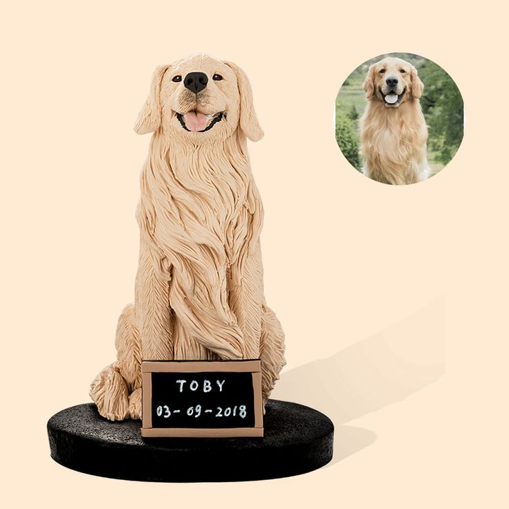 Pet mini Replica