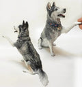 Pet mini Replica