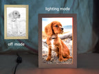 3d Led Glow Frame