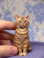 Pet mini Replica