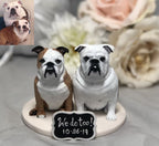 Pet mini Replica